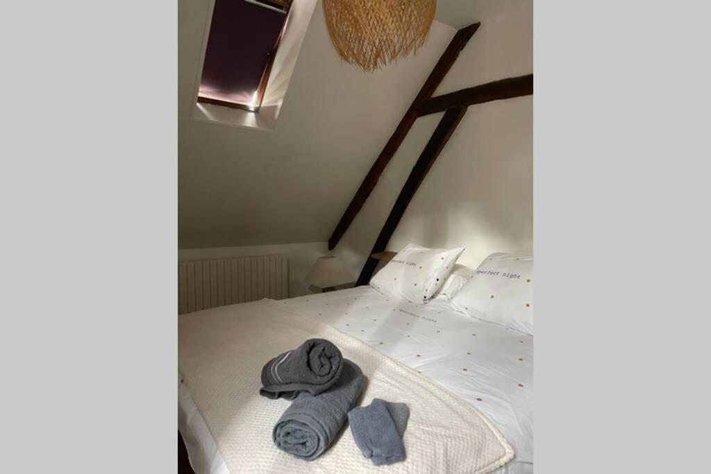 Appartement «La Vie Est Belle» Au Coeur De Sézanne מראה חיצוני תמונה